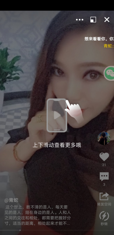 拱墅区名凤青蛇